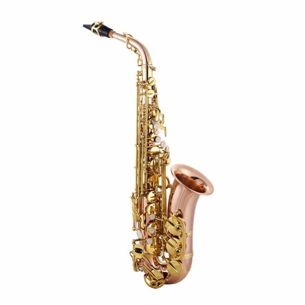 Alto Saxophone For Sale